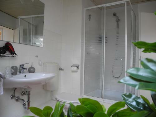 Hostal Hotel Maurer