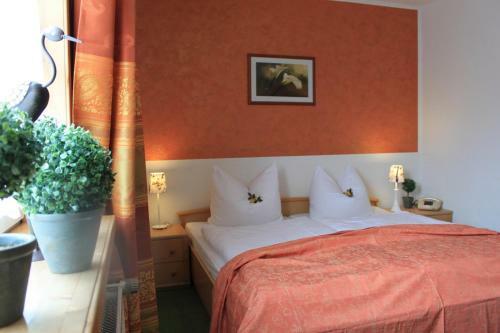 Hotel Gr�ner Baum