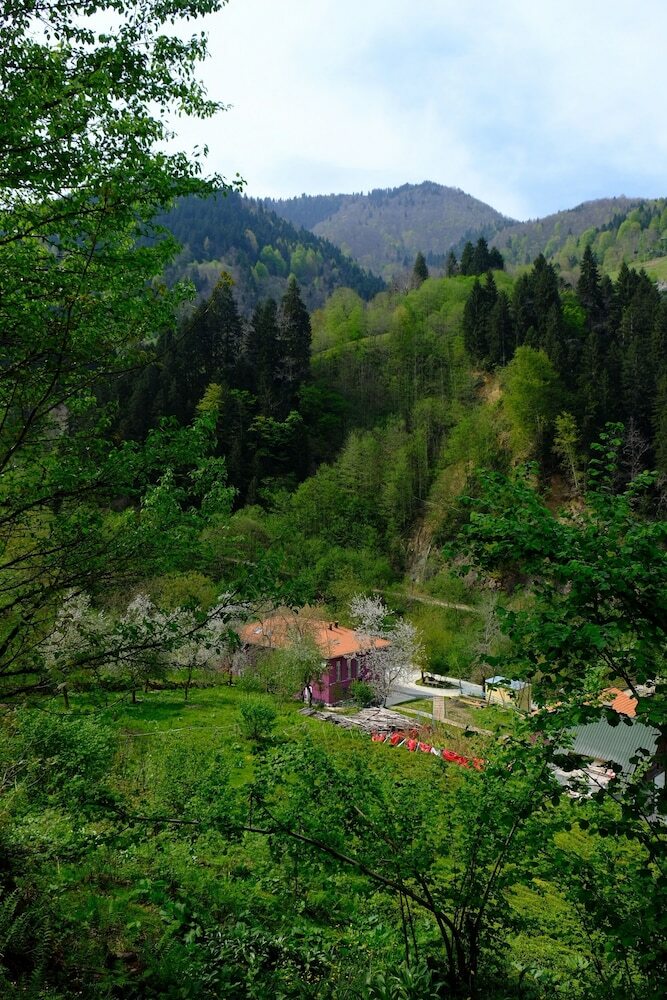 Nordic Hotel