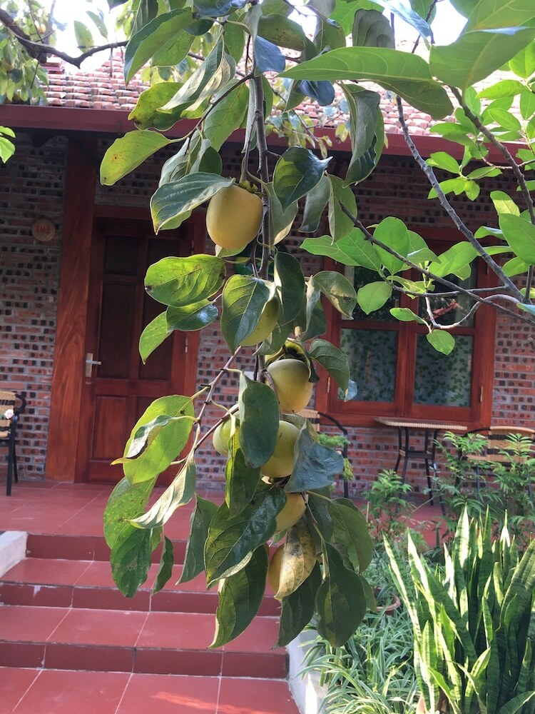Hotel Thanh Dat Homestay