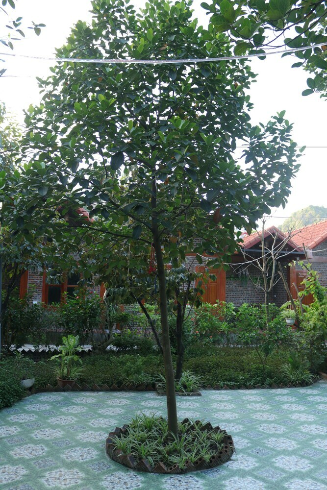 Hotel Thanh Dat Homestay