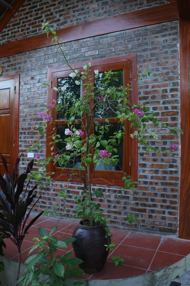 Hotel Thanh Dat Homestay