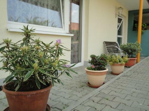 Hostal Landgasthof Traube