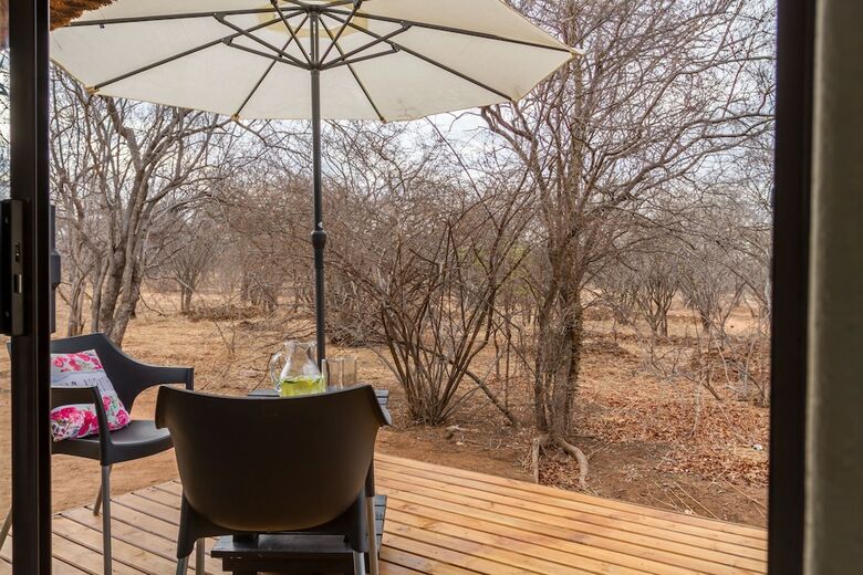The Safarilicious Collection