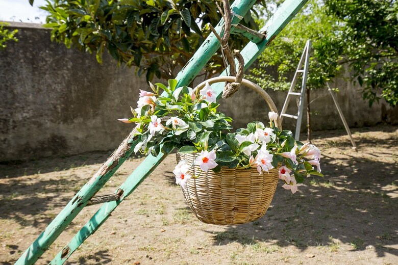 Bed & Breakfast Palazzo Cacace