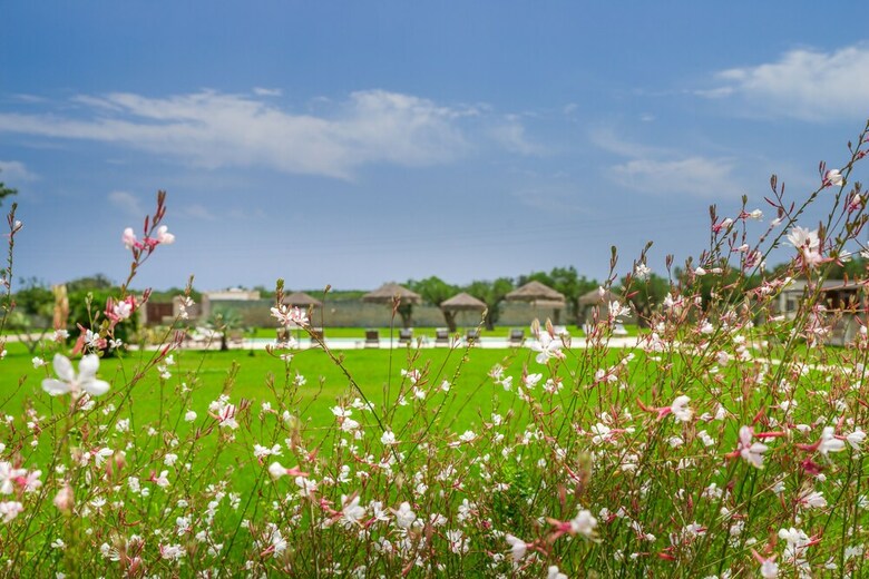 Bed & Breakfast Masseria La Gresca