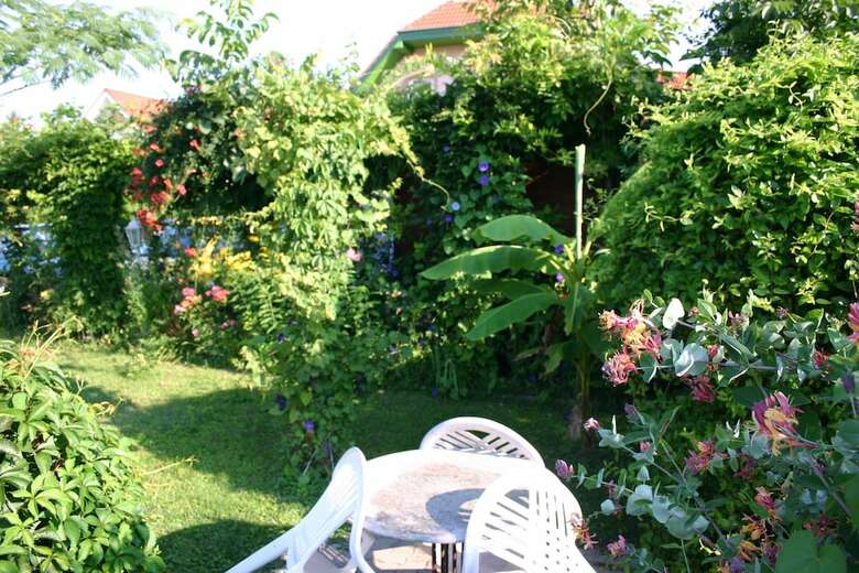 Bed & Breakfast Lorelei Pension