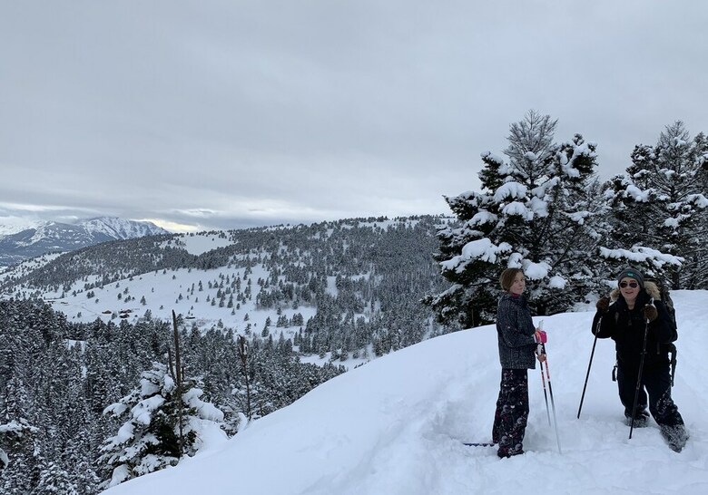 Little Trail Creek Cabins