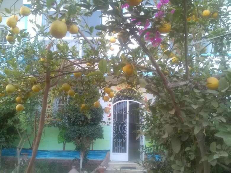 Hotel Luxor Guest House