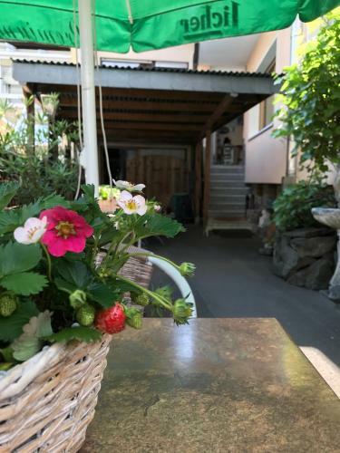 Hotel Restaurant Alt Laubach