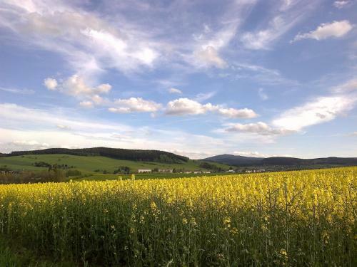 Hotel Dietrichsm�hle