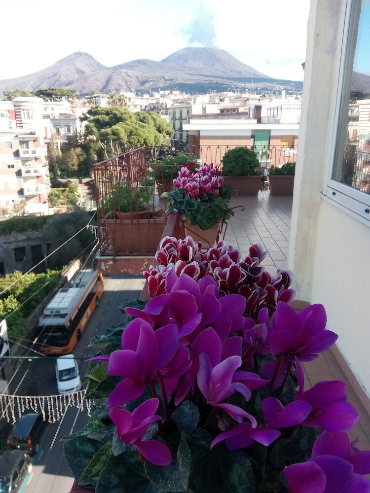 Bblabellavista