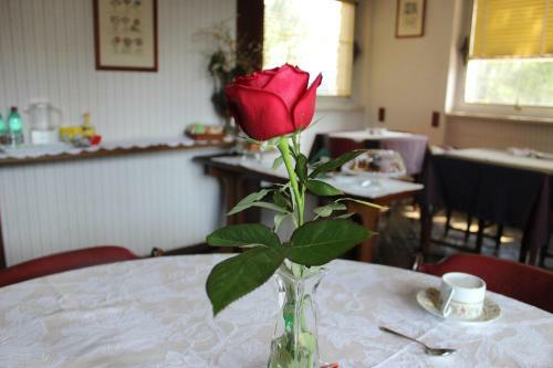 Bed & Breakfast Villa Wanda - Residenza Di Charme