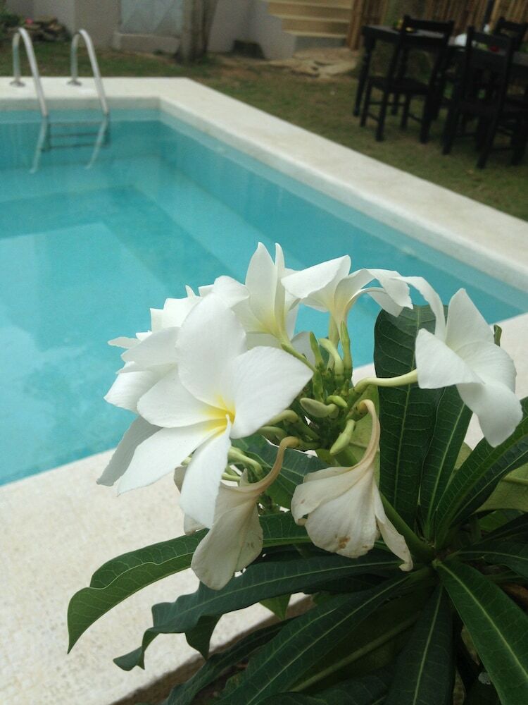 Hotel Villa Mango