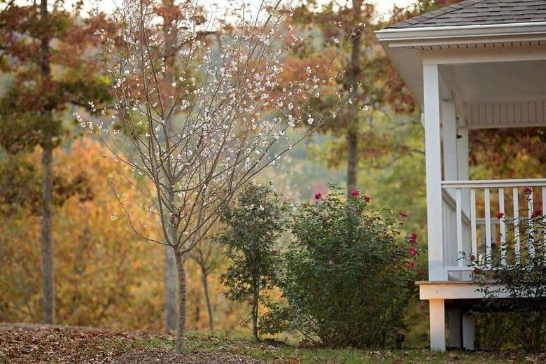 Cabana Stonehill Cottages