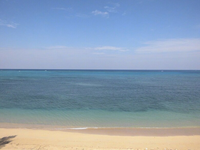 Aparthotel Beach Room