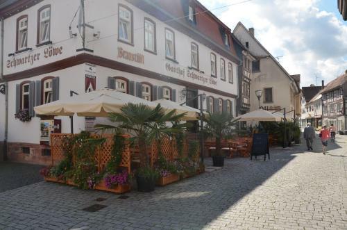 Hotel Schwartzer L�we