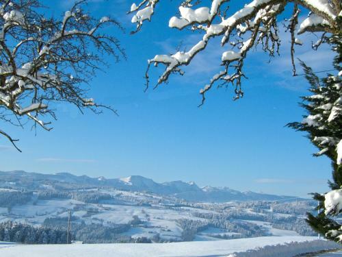 Hostal Hotel Allg�u Garni