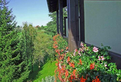 Hostal Hotel Allg�u Garni