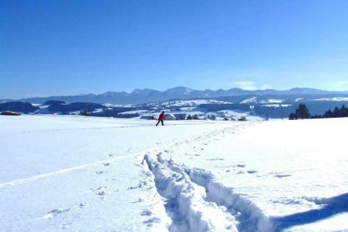 Hostal Hotel Allg�u Garni