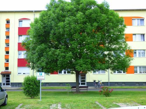 Apartamentos Komfort Ferienwohnungen Zwenkauer See
