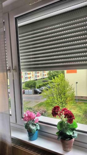 Apartamentos Komfort Ferienwohnungen Zwenkauer See
