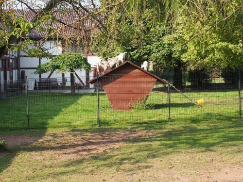 Apartamento Gut Dankerode
