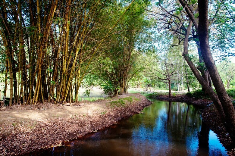Posada Raintree