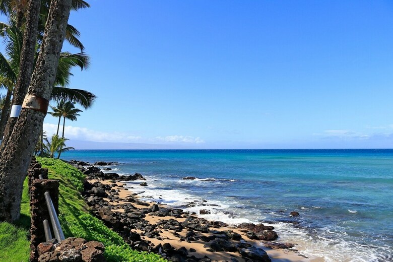 Noelani #219 By Redawning