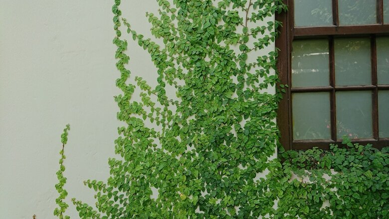 47 Berg Street