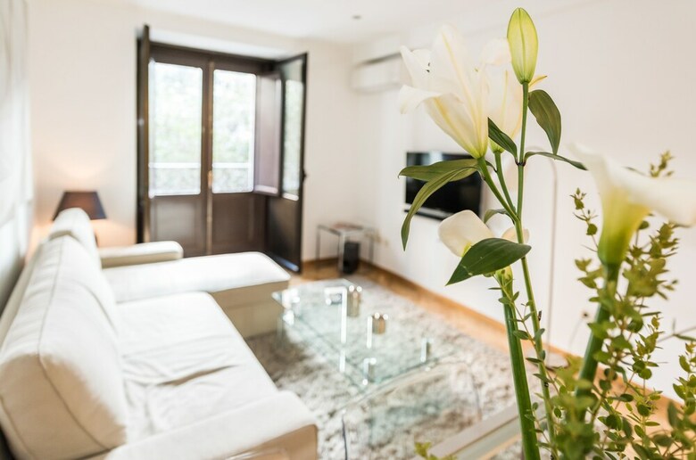 Apartamentos Malasa�a Urban - Madflats Collection