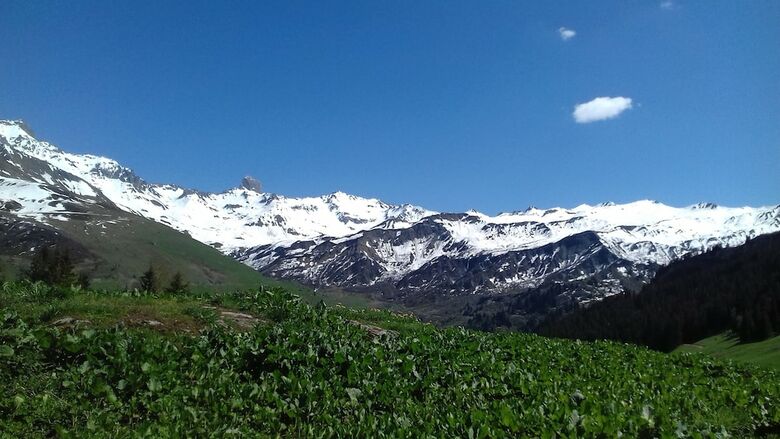 Hotel H�tel Arolla