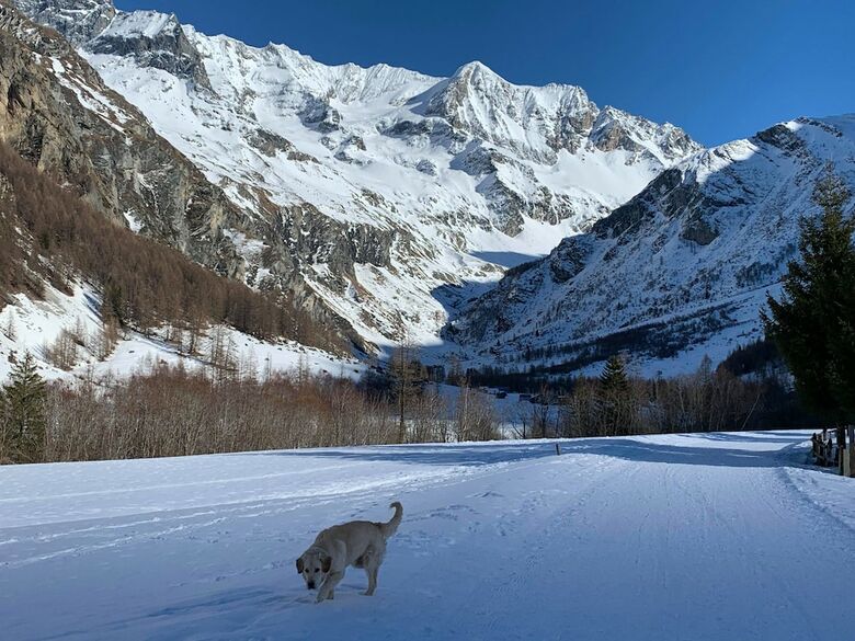 Hotel H�tel Arolla