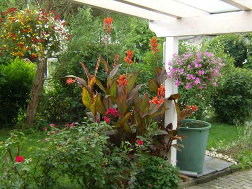 Hotel Wellnesshaus Waldm�nchen
