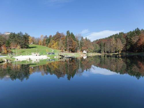 Cozy Holiday Home In Saldenburg Near Forest