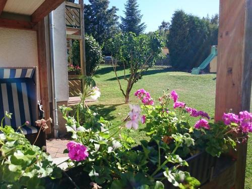 Apartamentos Ferienanlage Harzfreunde