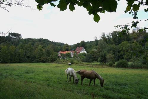 Hotel Haus Recke