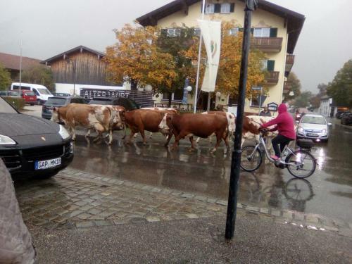 Hotel Landgasthof Kirchmayer