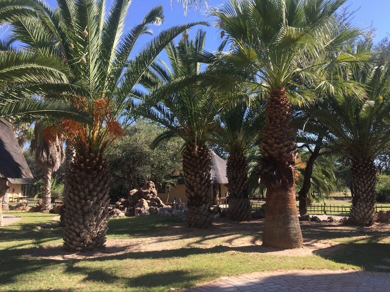 Posada Tautona Lodge