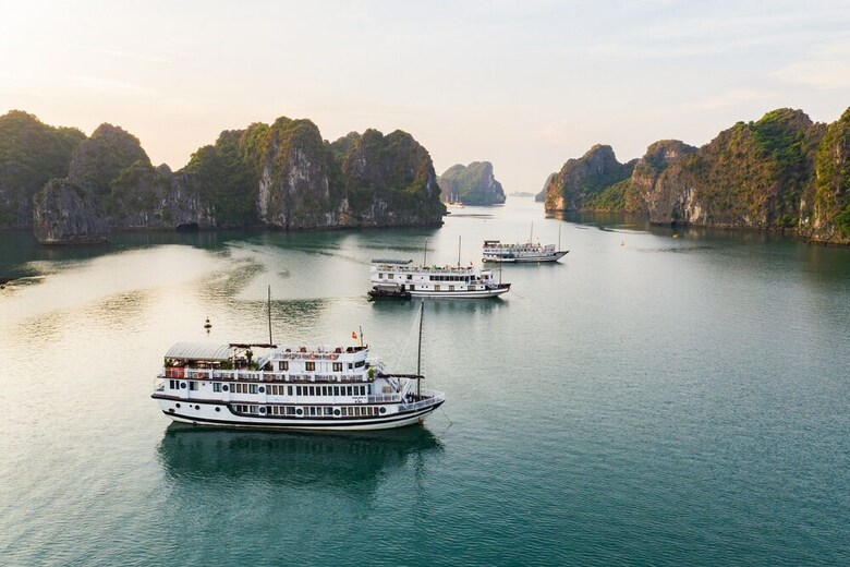 Swan Cruises Halong
