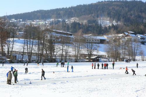 Hotel 'der Seehof'