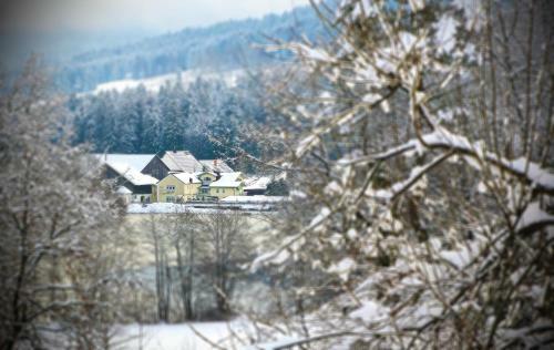 Hotel 'der Seehof'