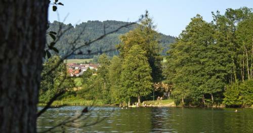 Hotel 'der Seehof'