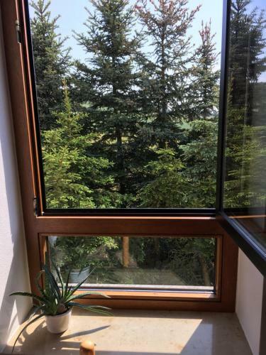 Hotel G�stehaus Hannelore