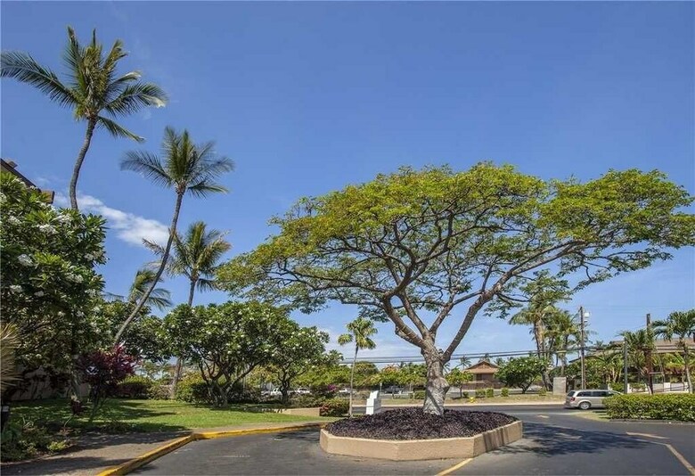 Maui Vista 1225 - 1 Br Condo