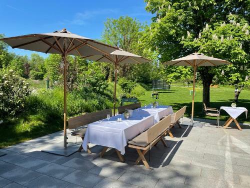 Hostal Hotel Restaurant Erber