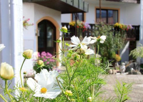 Hotel Alpenblick Berghof