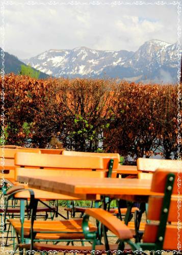 Hotel Alpenblick Berghof
