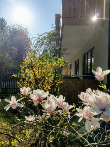 Hostal Hotel Am Wald