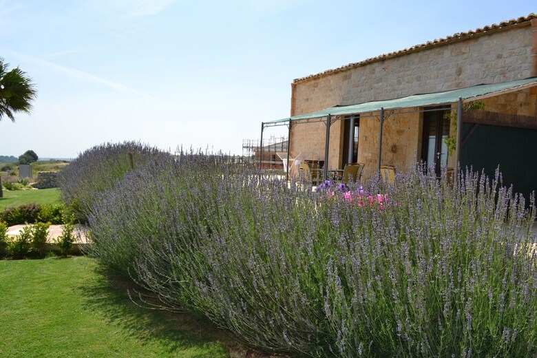 Hotel Antica Masseria Timparuci